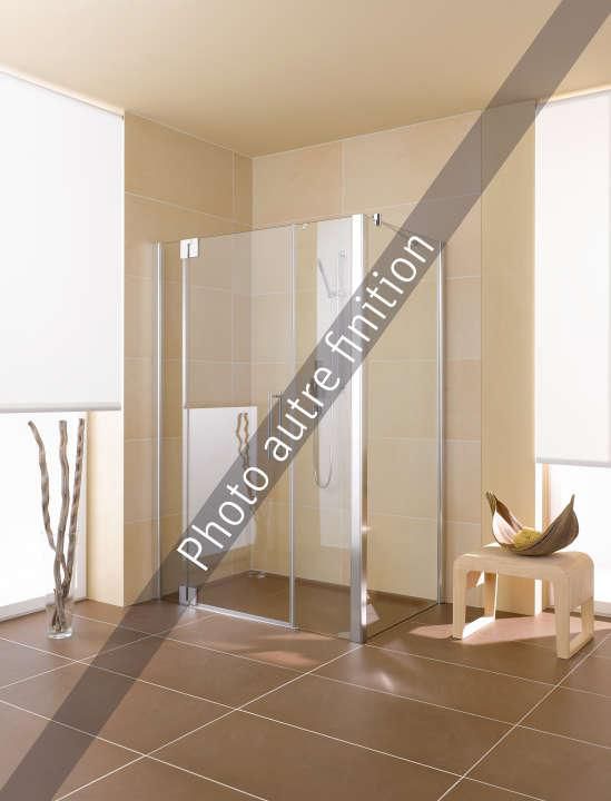 Porte pivotante avec 2 éléments fixes pivots à gauche PASA XP 1GL hauteur 2 m largeur 123 cm profilé argent mat verre fumée PX1G L123201 LR/ Réf. 1403022937