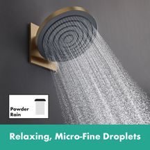 hansgrohe Pulsify Raccord mural pour douche de tête 260, Bronze brossé