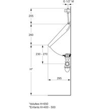 Pack urinoir prêt à poser, alimentation apparente droite APPLIQUE Lg : 48 cm blanc Réf. P986201