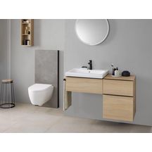 Panneau sanitaire Monolith Plus pour WC suspendu, 114 cm, habillage frontale Ref : 131.231.00.7