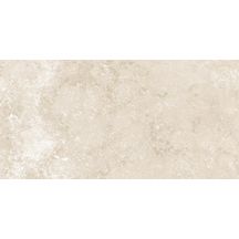 Grès cérame Monocibec Tradition TRV beige fonçé naturel rectifié 30 x 60 cm 0113199