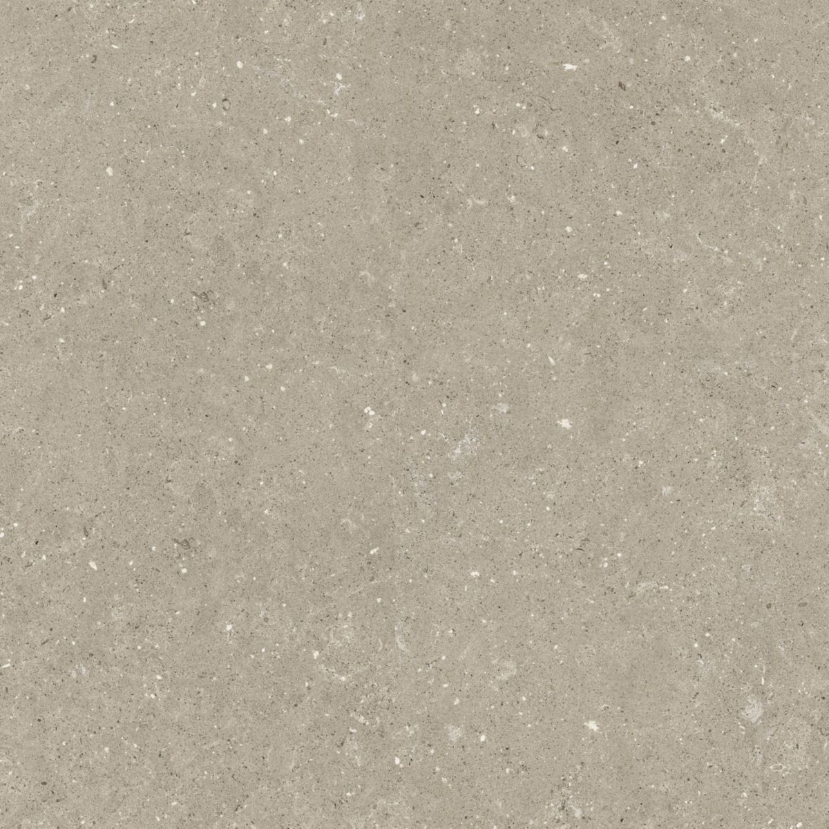 Grès cérame Arte Deco Othis beige antidérapant rectifié épaisseur 20 mm 80 x 80 cm