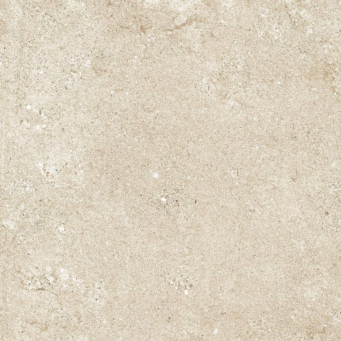 Grès cérame Monocibec Tradition TRV beige fonçé naturel rectifié 60 x 60 cm 0113186