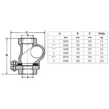 Clapet anti retour SOCLA 50, corps fonte, taraudé BSP 1 1/2