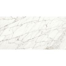 Grès cérame Naxos Rhapsody white fun rectifié naturel 60 x 120 cm 0120125