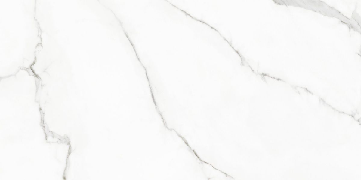 Grès cérame Naxos Rhapsody white beauty rectifié poli 60 x 120 cm 0117432