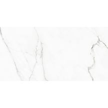 Grès cérame Naxos Rhapsody white beauty rectifié poli 60 x 120 cm 0117432