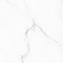 Grès cérame Naxos Rhapsody white beauty rectifié poli 60 x 60 cm 0117467