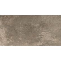 Grès cérame Naxos Vision brun naturel rectifié 30 x 60 cm 0118638