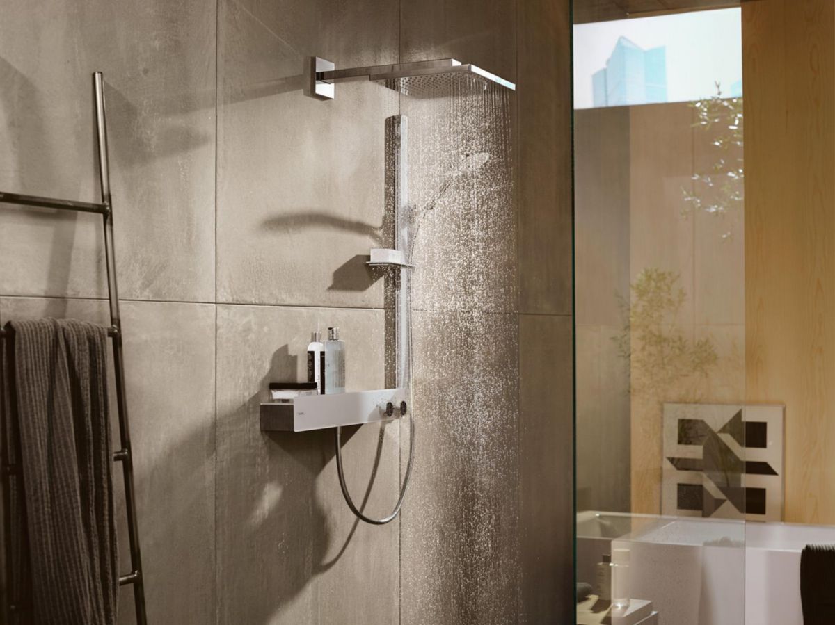 Douche de tête HG Raindance E 300 Air 1jet avec bras de douche 390 mm réf. 26238000