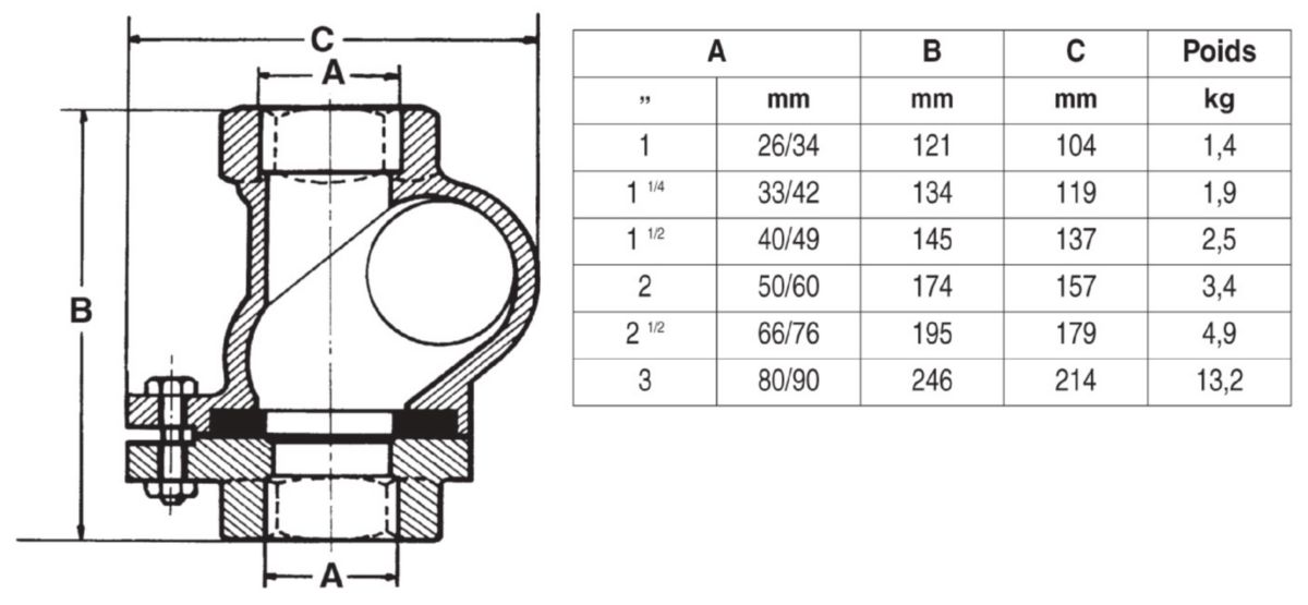 Clapet anti retour SOCLA 50, corps fonte, taraudé BSP 1 1/2