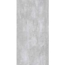 Panneau mural Vipanel Prepanel en alu-composite aspect béton L 1600 x H 2100 mm épaisseur 3 mm décor gris finition mat perlé Vipanel Réf. 1420000503