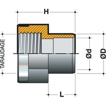 Réduction mixte taraudée renforcée femelle à coller diamètre 25 20x27mm RTR25