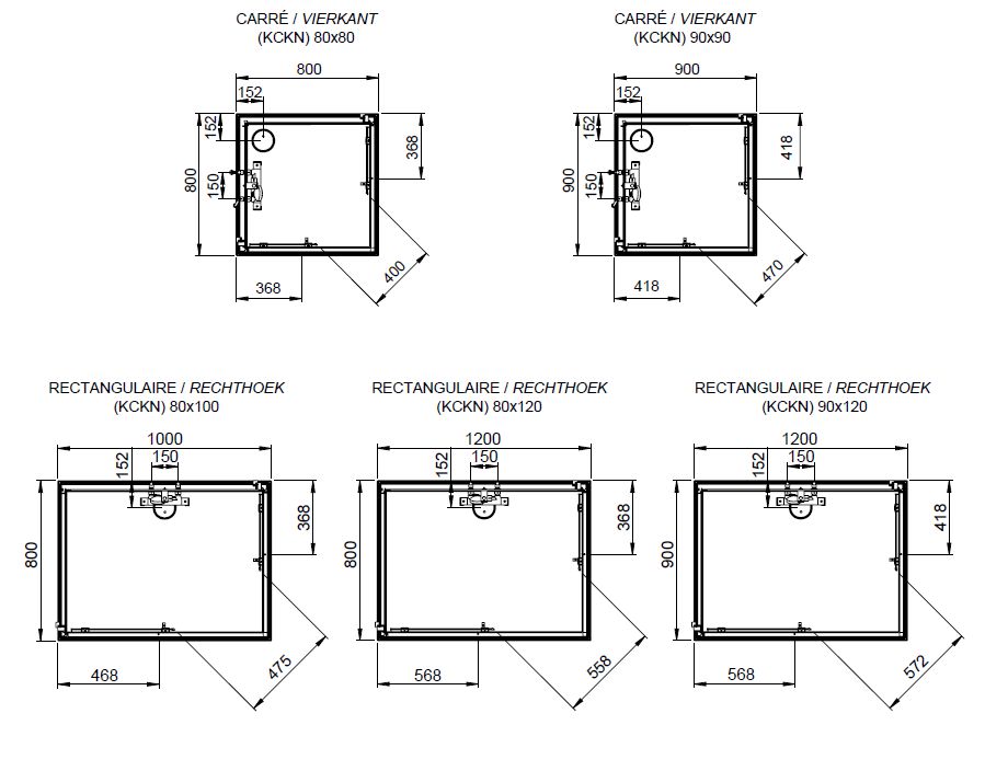 Cabine de douche IZIGLASS 2 coulissante angle 80 x 80 cm en verre transparent Réf. L11IZC0080