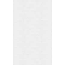 Panneau mural Kinewall Design 3 mm 100X202 enduit blanc