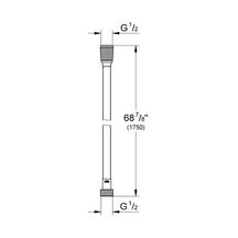 Flexible de douche Twistfree 1750 Silverflex Chromé 28388000