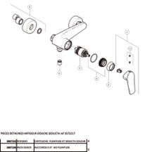 Mitigeur de douche Alterna Séducta3