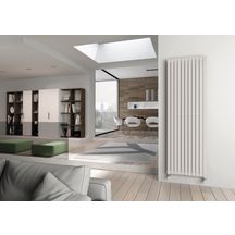 Radiateur eau chaude Altech vertical Deco double eau chaude 2020 x 568 blanc 1713 W