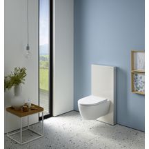 Panneau sanitaire Geberit Monolith pour WC suspendu, 101 cm: verre sable gris, aluminium  Réf.131.021.JL.5