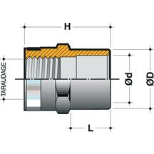 Réduction mixte taraudée renforcée mâle diamètre 25mm 15x21 ETR25