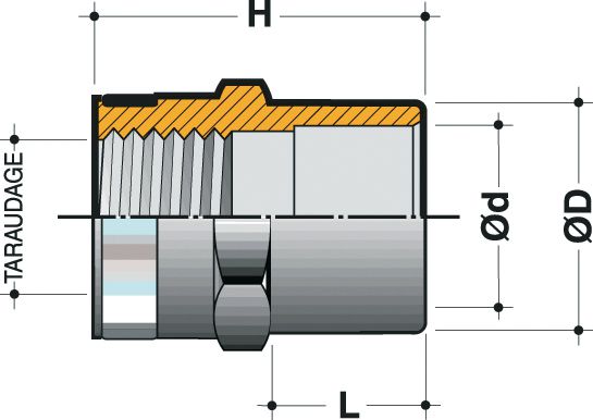 Réduction mixte taraudée renforcée mâle diamètre 25mm 15x21 ETR25