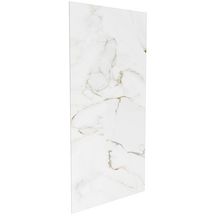 Panneau de revêtement mural Panostyle 120 x 255 cm Marbre blanc brillant Réf. E66120-D72