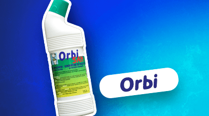 Orbi vignette