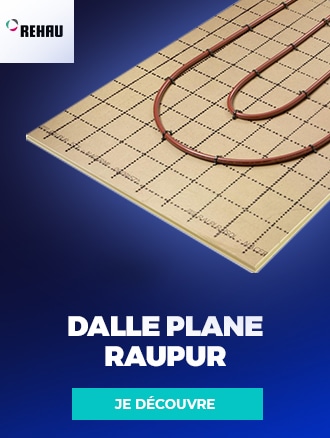 DALLE PLANE RAUPUR