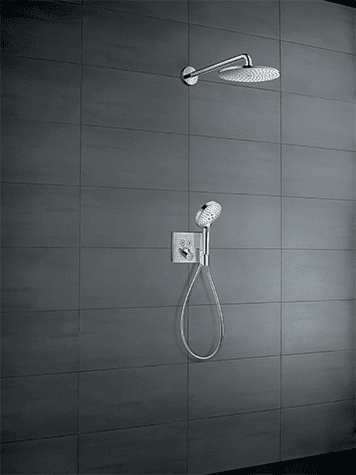 Raindance S 300 Shower Select Porter E